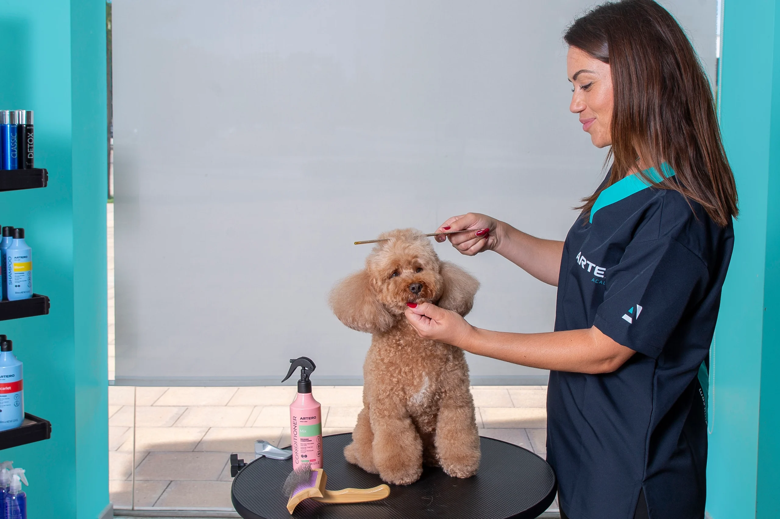 Professional pet groomer gently brushing a dog's coat during a personalized grooming session